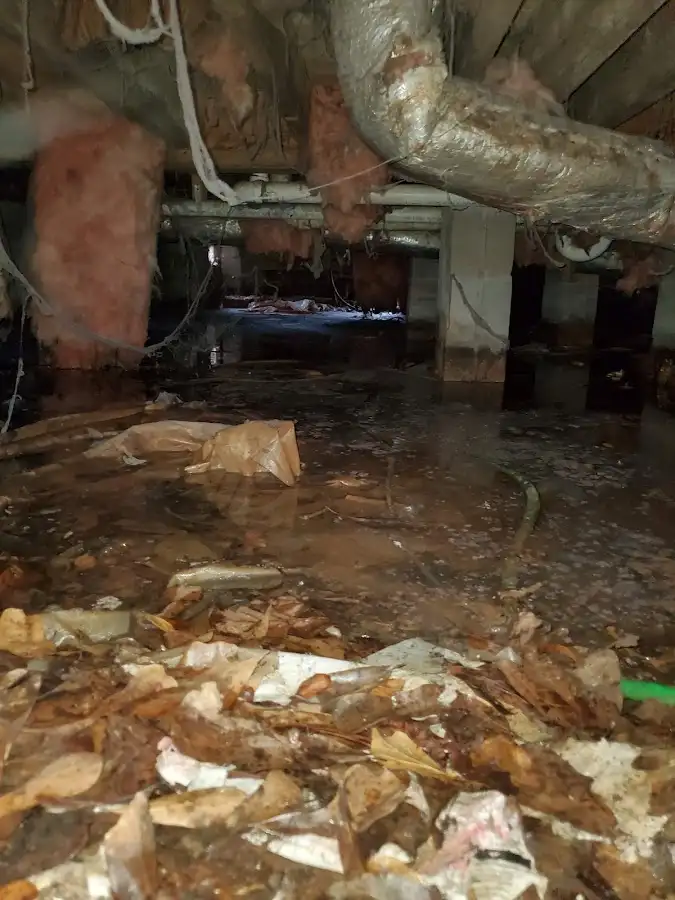 Crawl space flood assessment for Commercial Water Damage Restoration in San Diego Country Estates